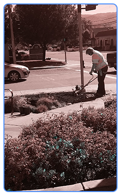 Landscaper